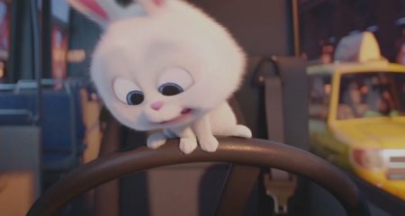 Тайная жизнь домашних животных (2016) Тайная жизнь домашних животных (2016)