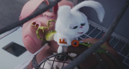 Тайная жизнь домашних животных (2016) Тайная жизнь домашних животных (2016)
