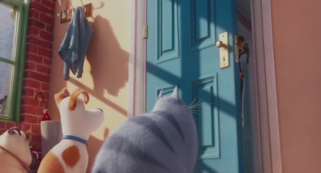 Тайная жизнь домашних животных (2016) Тайная жизнь домашних животных (2016)