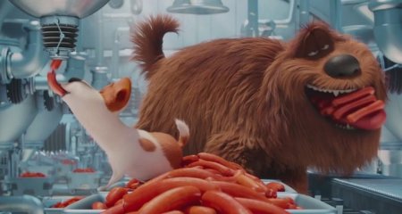 Тайная жизнь домашних животных (2016) Тайная жизнь домашних животных (2016)