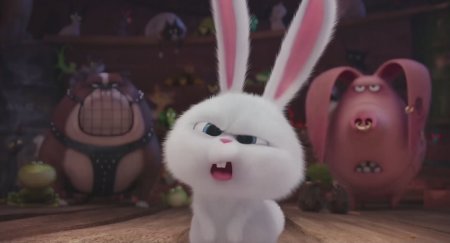 Тайная жизнь домашних животных (2016) Тайная жизнь домашних животных (2016)