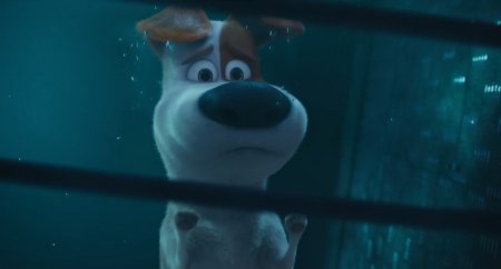 Тайная жизнь домашних животных (2016) Тайная жизнь домашних животных (2016)