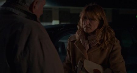 Несколько женщин (2016)