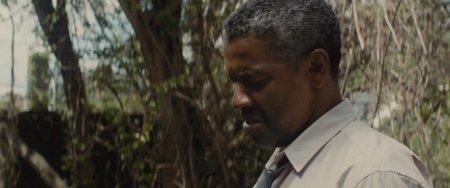 Ограды (2016)