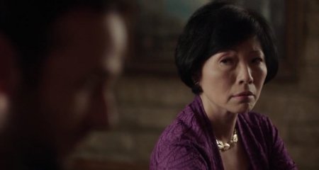 Упавшие звёзды (2017) Упавшие звёзды (2017)