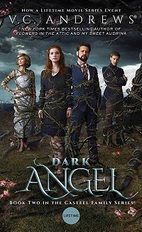 Фильм Тёмный Ангел (2019)