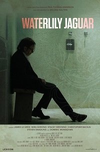 Фильм Кувшинковый ягуар (2018)