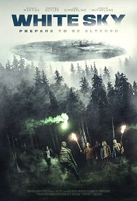 Фильм Белое небо (2021)