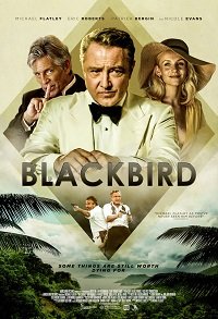 Фильм Чёрный дрозд (2022)