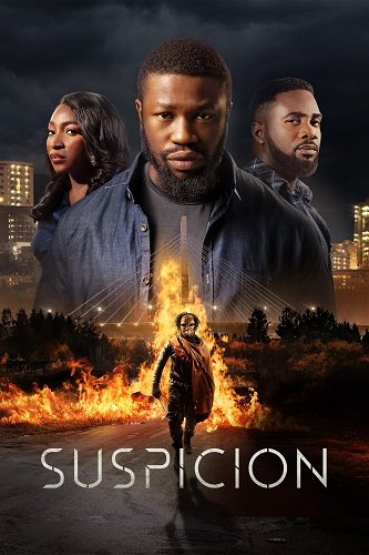 Фильм Подозрение (2024)