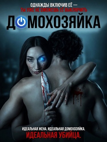 Домохозяйка (2026)