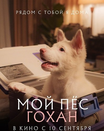 Фильм Мой пёс Гохан (2026)