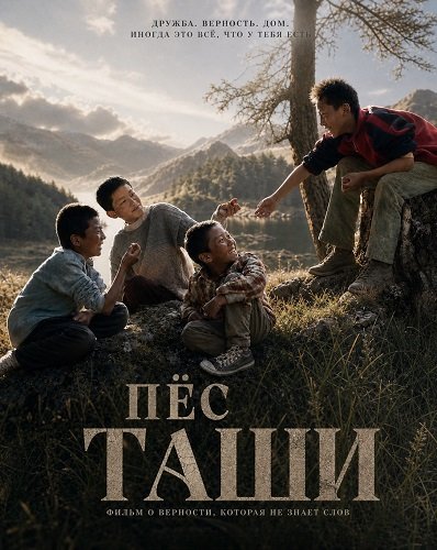 Пёс Таши (2024)